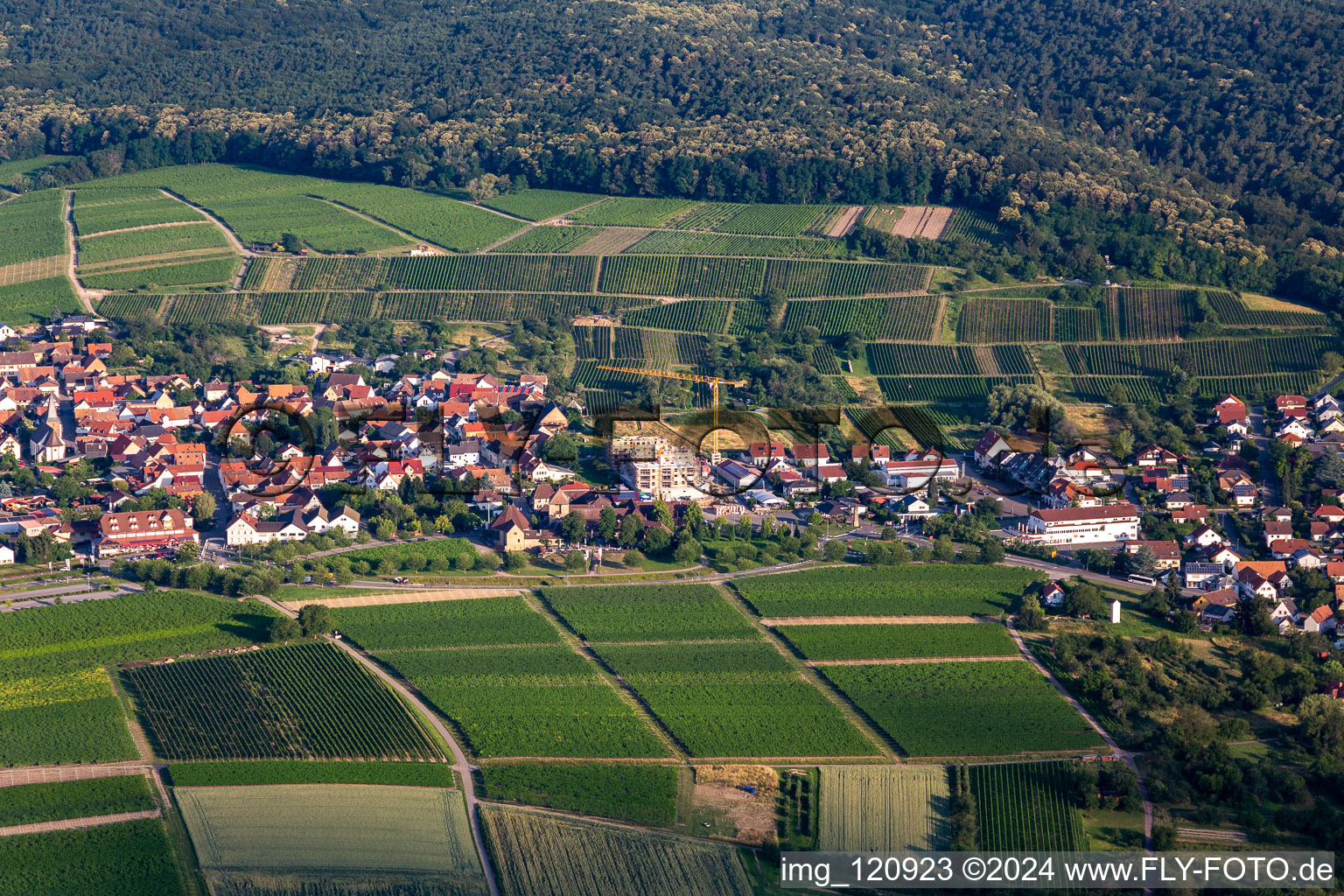 Photographie aérienne de Quartier Schweigen in Schweigen-Rechtenbach dans le département Rhénanie-Palatinat, Allemagne