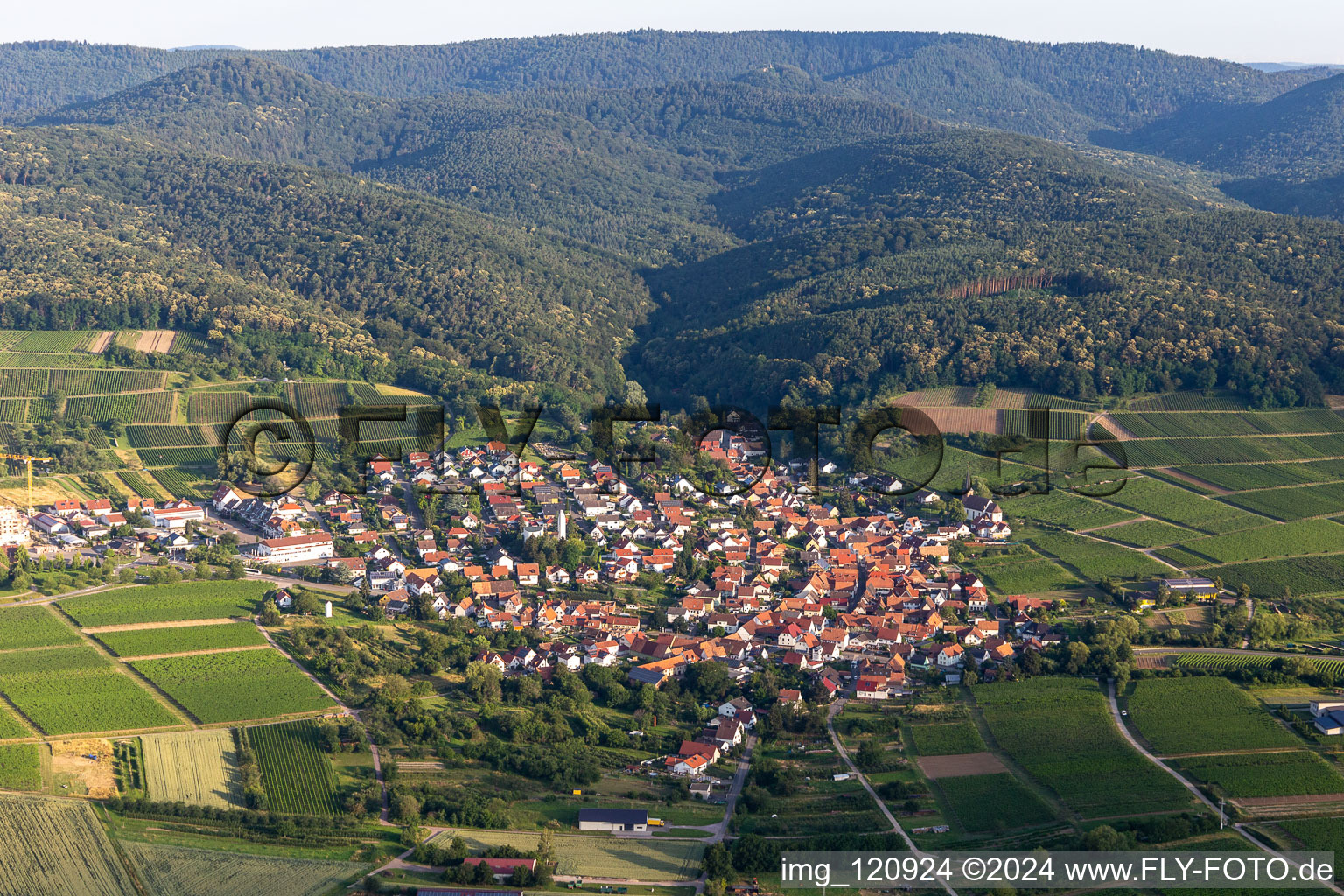 Vue d'oiseau de Quartier Rechtenbach in Schweigen-Rechtenbach dans le département Rhénanie-Palatinat, Allemagne