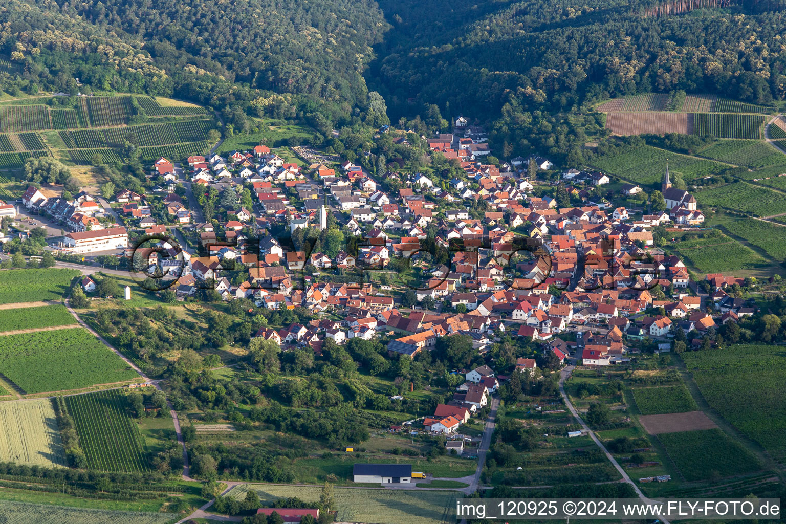 Quartier Rechtenbach in Schweigen-Rechtenbach dans le département Rhénanie-Palatinat, Allemagne vue du ciel