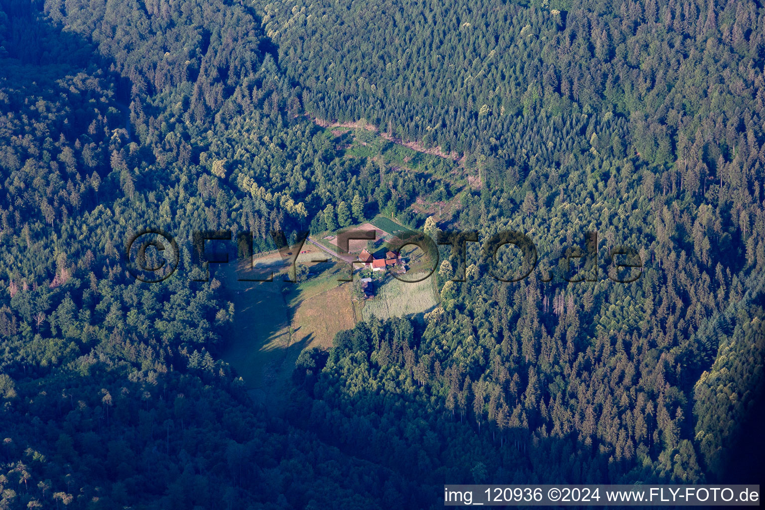 Wingen dans le département Bas Rhin, France d'en haut