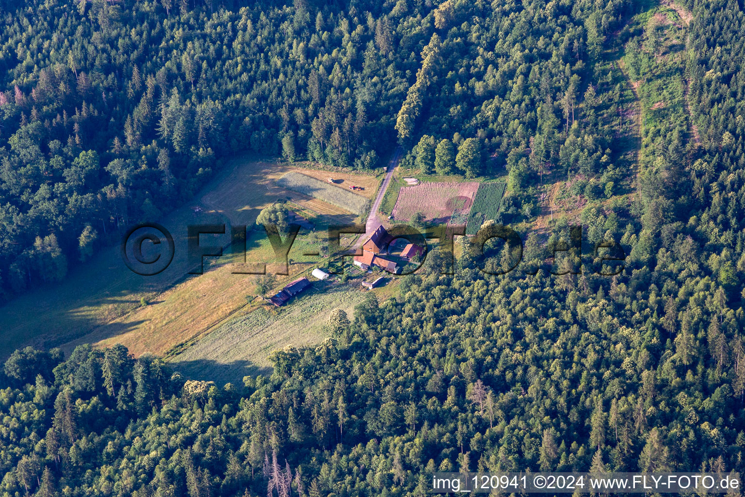 Wingen dans le département Bas Rhin, France hors des airs