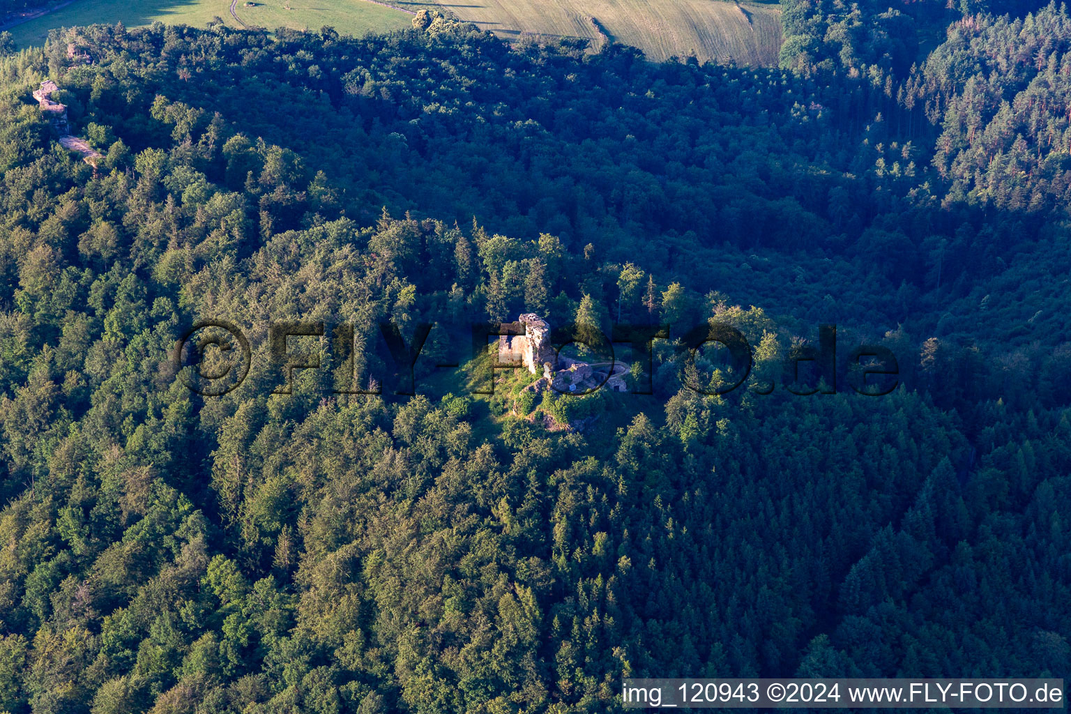 Vue aérienne de Château de Hohenburg à Wingen dans le département Bas Rhin, France