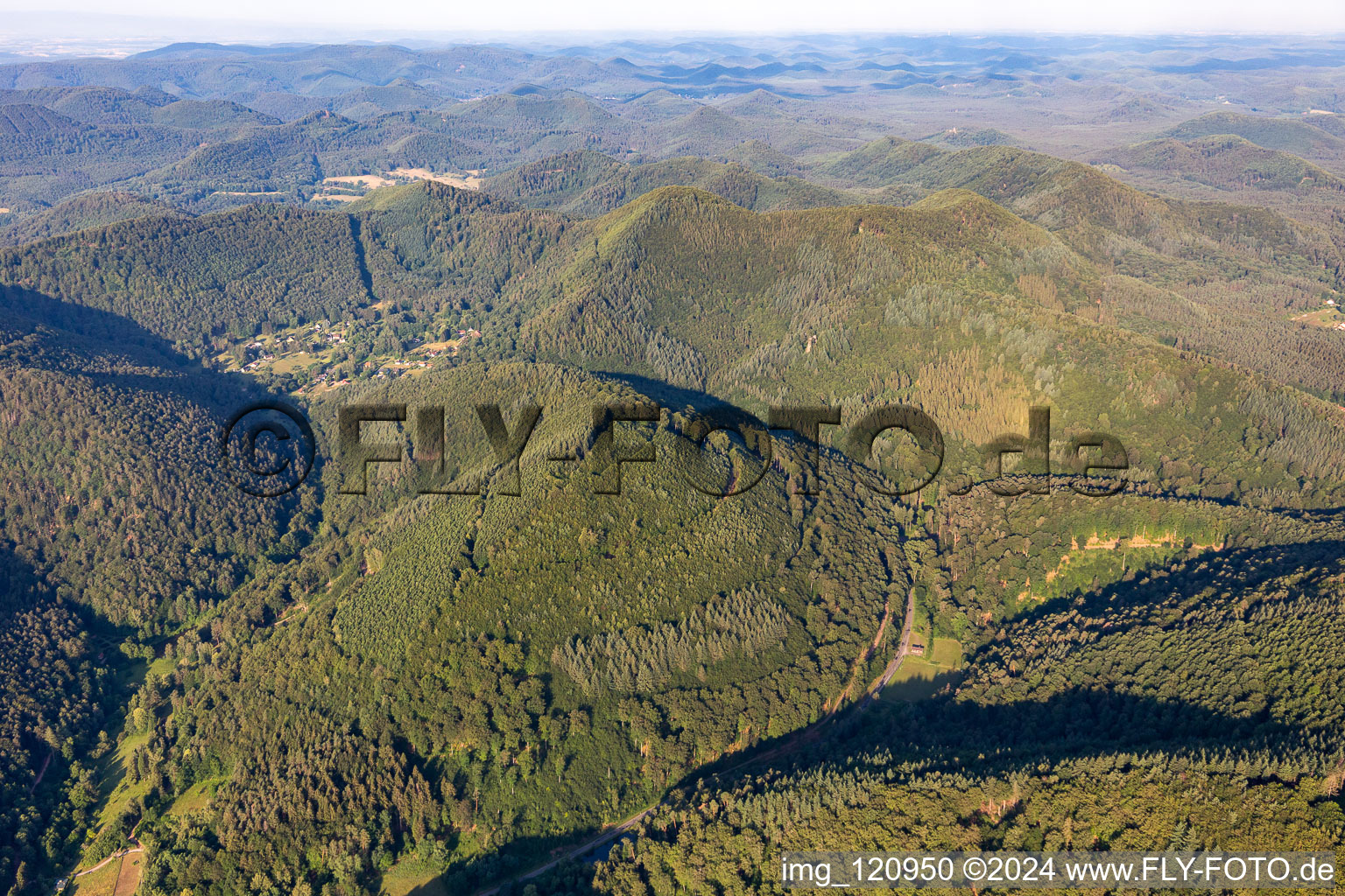 Vue aérienne de Forêt du Palatinat à Schönau dans le département Rhénanie-Palatinat, Allemagne