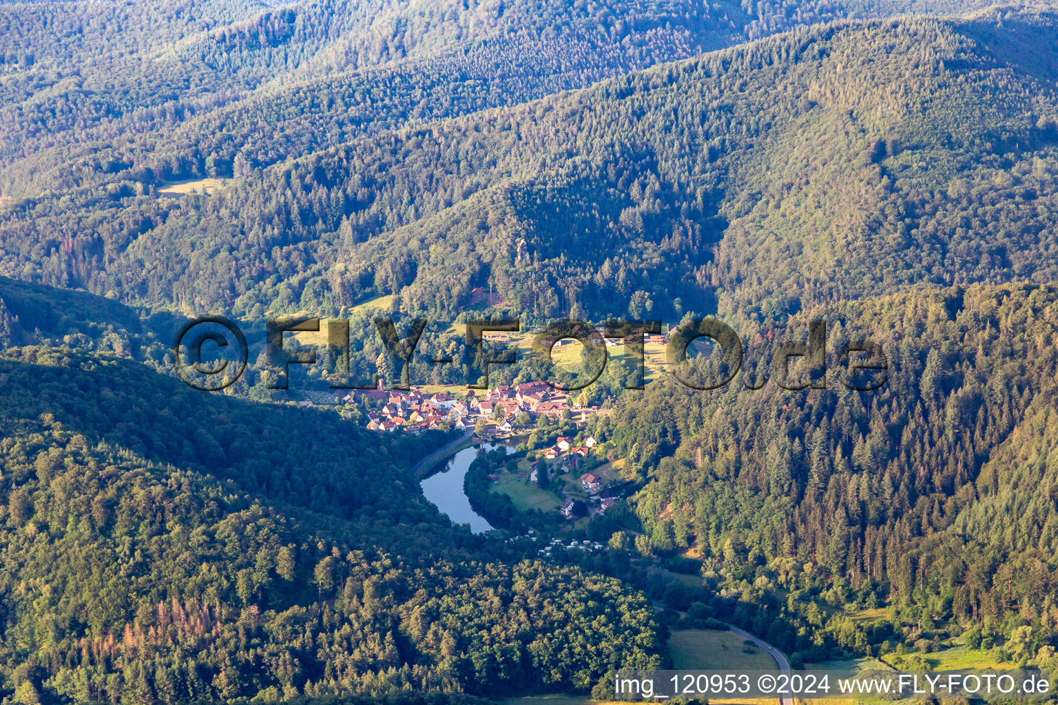 Vue aérienne de Königsweiher à Schönau dans le département Rhénanie-Palatinat, Allemagne