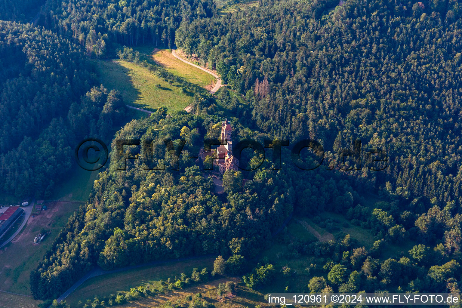 Vue aérienne de Château de Bewartstein à Erlenbach bei Dahn dans le département Rhénanie-Palatinat, Allemagne