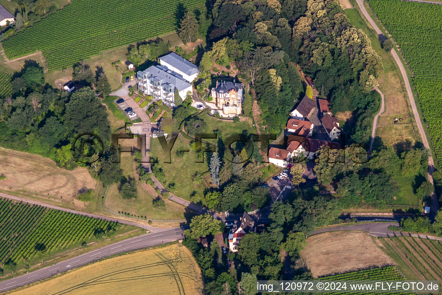 Vue aérienne de Palais Weinstrasse 89A à le quartier Pleisweiler in Bad Bergzabern dans le département Rhénanie-Palatinat, Allemagne