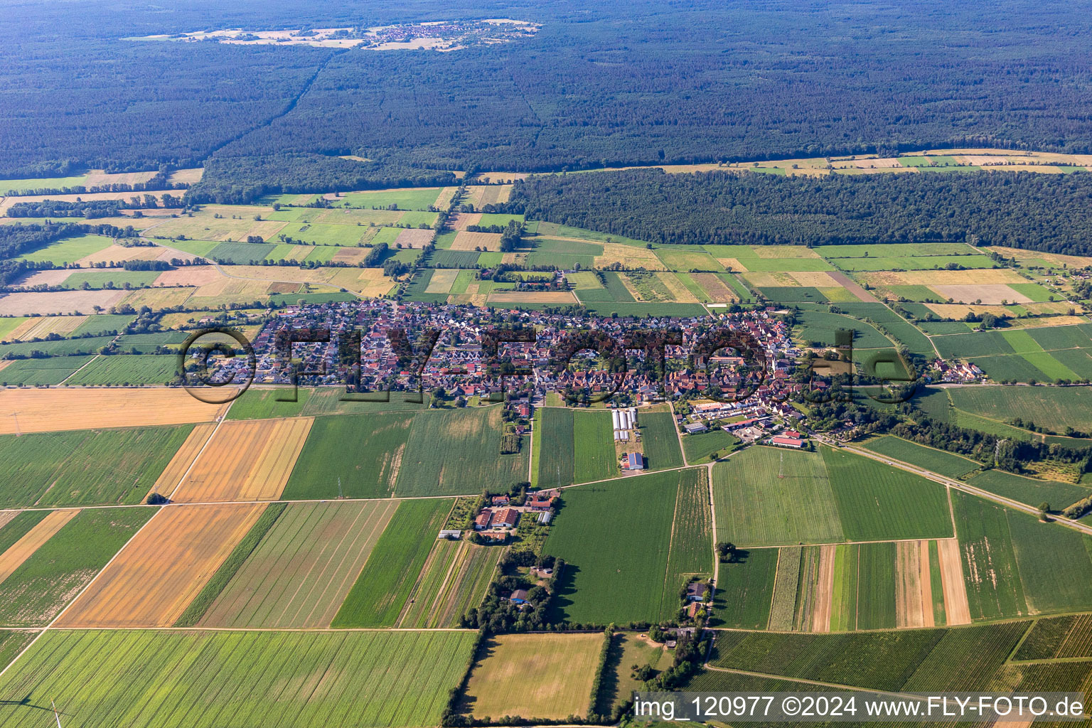 Vue d'oiseau de Minfeld dans le département Rhénanie-Palatinat, Allemagne