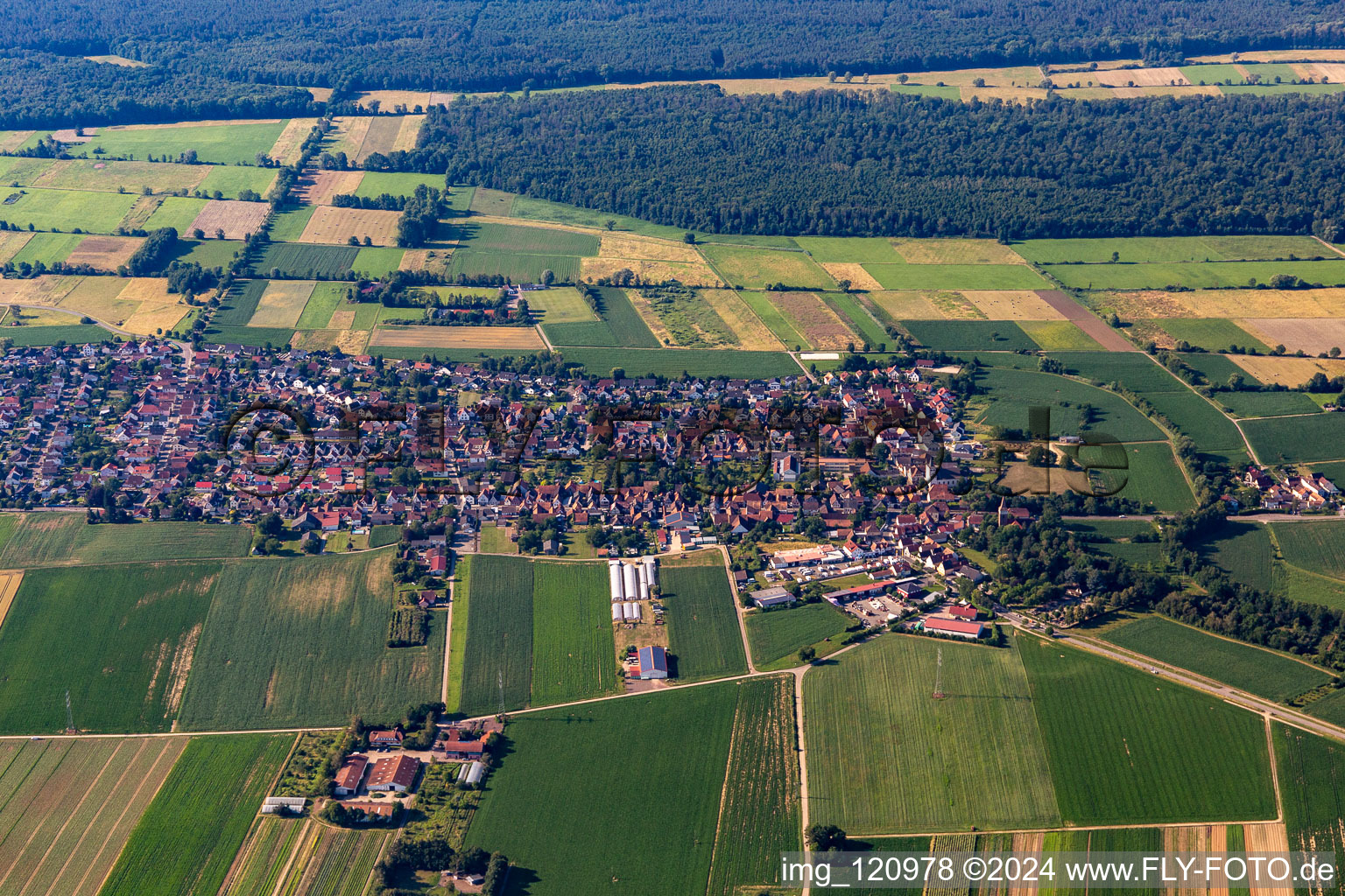 Minfeld dans le département Rhénanie-Palatinat, Allemagne vue du ciel