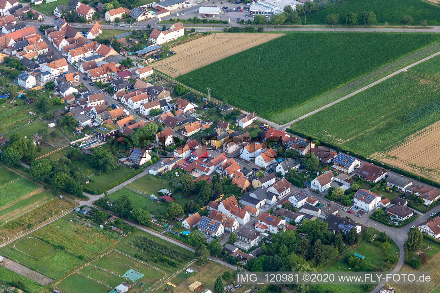 Vue aérienne de Gänsried à Freckenfeld dans le département Rhénanie-Palatinat, Allemagne