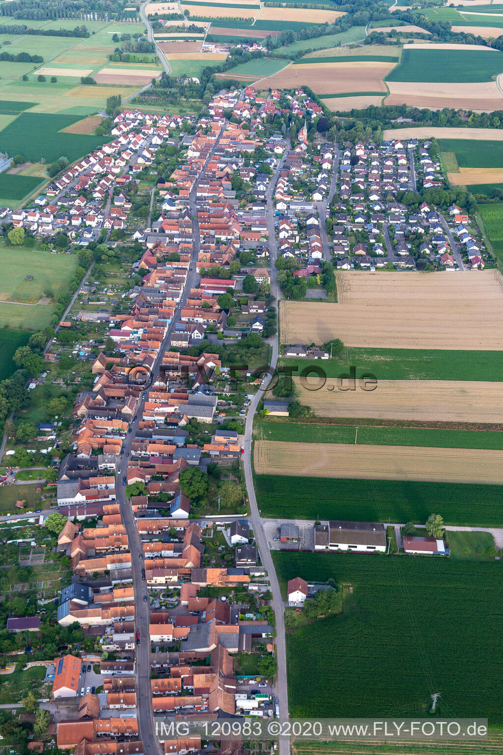 Vue oblique de Freckenfeld dans le département Rhénanie-Palatinat, Allemagne