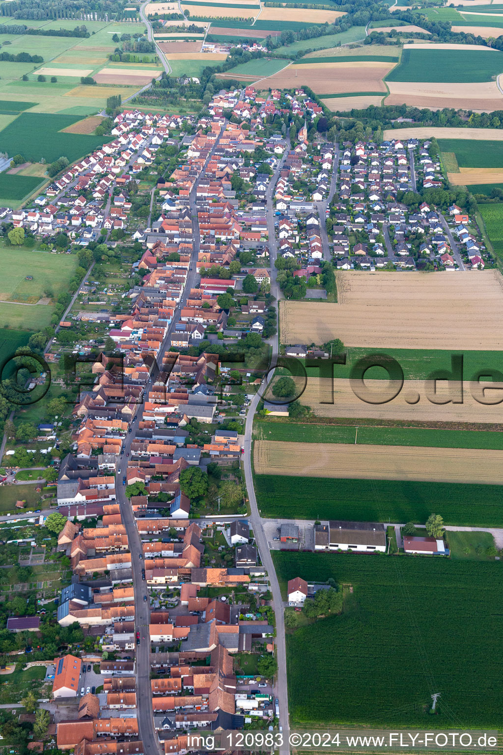 Vue oblique de Freckenfeld dans le département Rhénanie-Palatinat, Allemagne