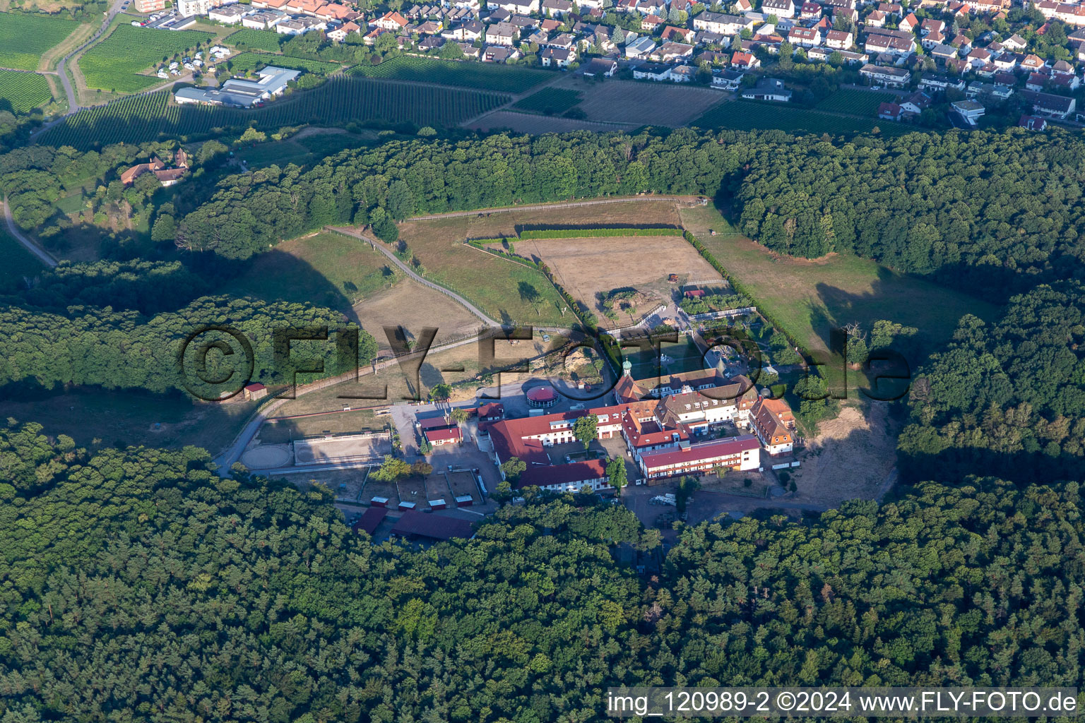 Vue aérienne de Monastère de Liebfrauenberg, écurie Fried à Bad Bergzabern dans le département Rhénanie-Palatinat, Allemagne