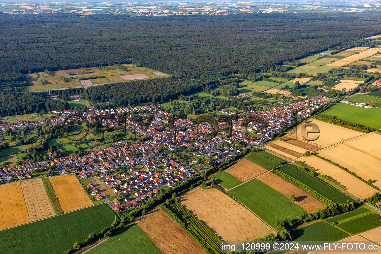 Vue oblique de Quartier Schaidt in Wörth am Rhein dans le département Rhénanie-Palatinat, Allemagne