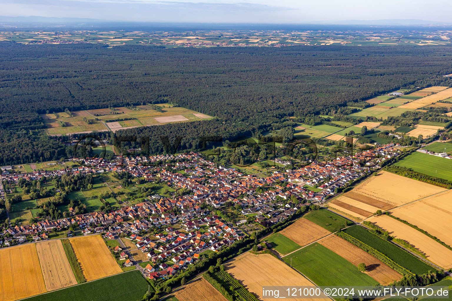 Vue aérienne de Vue de la commune en bordure des champs et zones agricoles en Schaidt à le quartier Schaidt in Wörth am Rhein dans le département Rhénanie-Palatinat, Allemagne