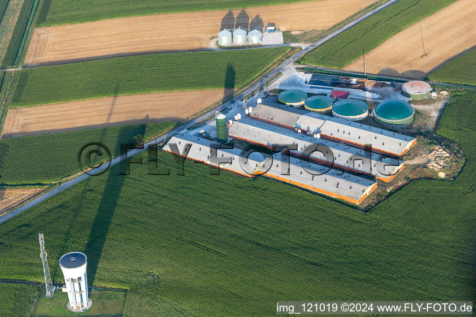 Vue oblique de Wintzenbach dans le département Bas Rhin, France