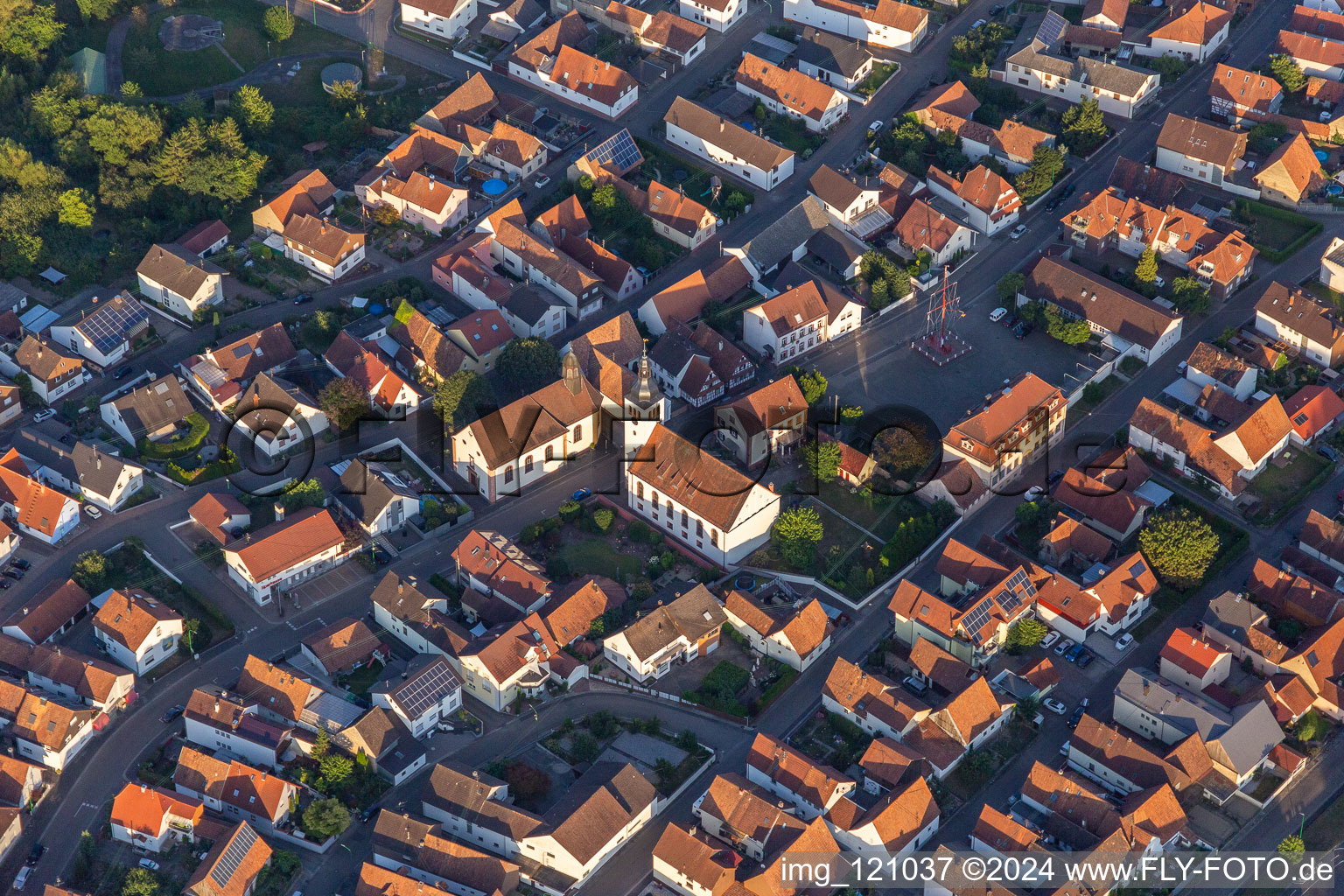 Vue aérienne de Quartier Neuburg in Neuburg am Rhein dans le département Rhénanie-Palatinat, Allemagne