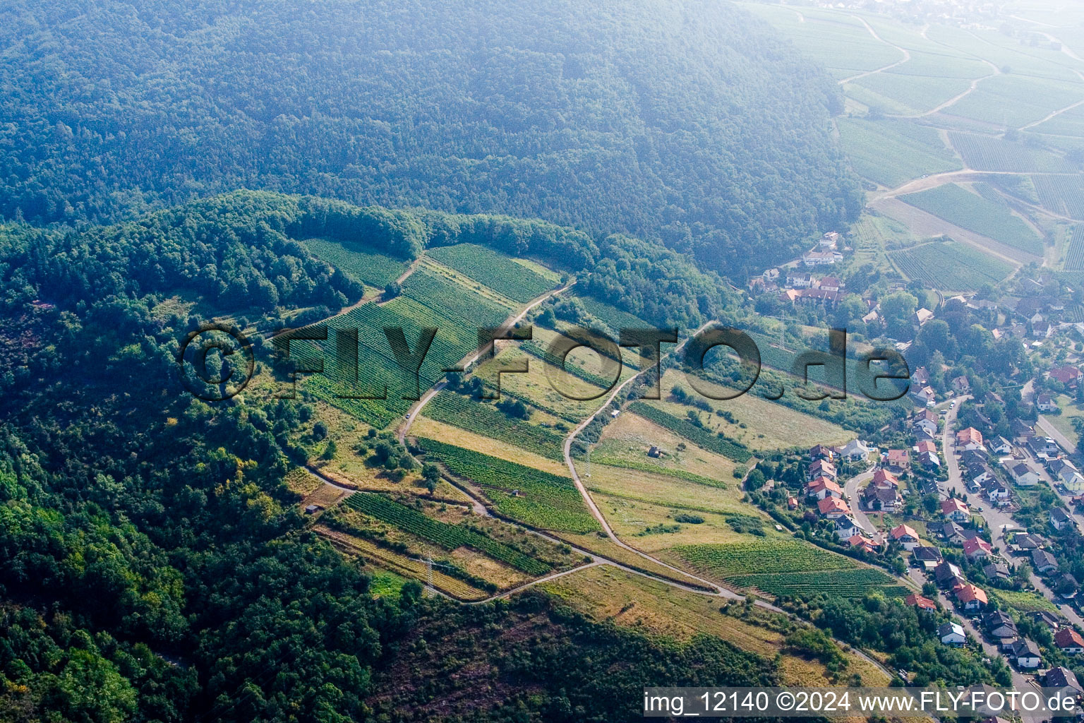 Vue aérienne de Albersweiler dans le département Rhénanie-Palatinat, Allemagne