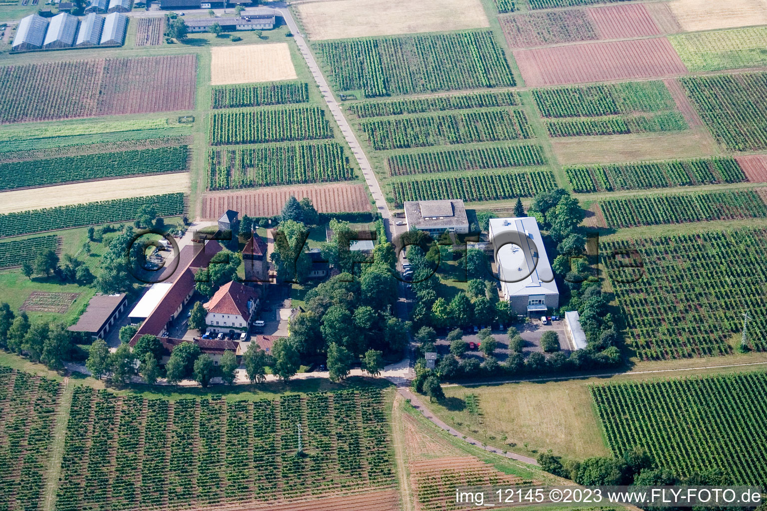 Vue aérienne de BFA-Geilweilerhof (Institut de recherche sur la vigne) à Siebeldingen dans le département Rhénanie-Palatinat, Allemagne