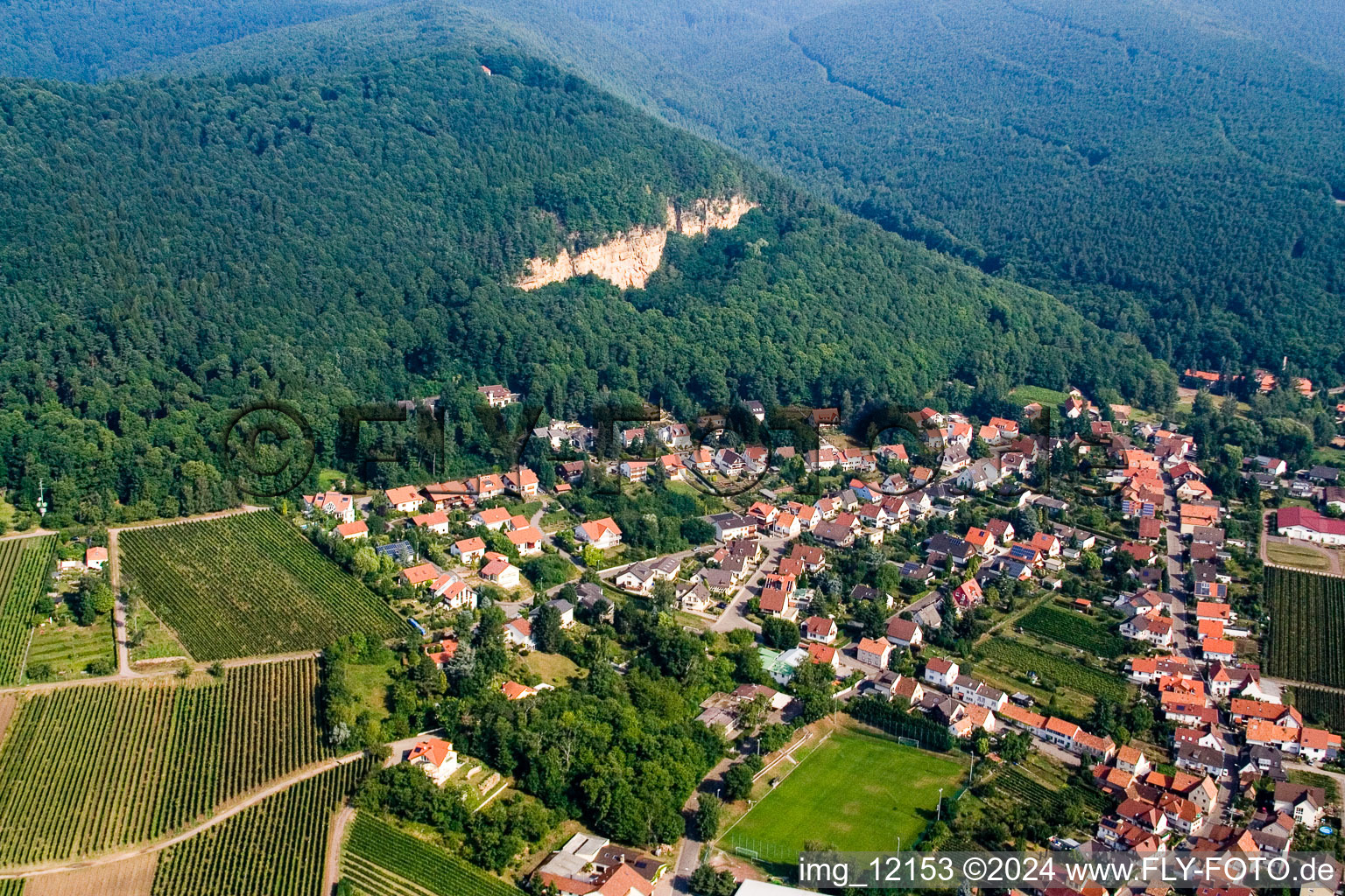 Vue aérienne de Village - vue entre forêt du Palatinat et vignes à Frankweiler dans le département Rhénanie-Palatinat, Allemagne