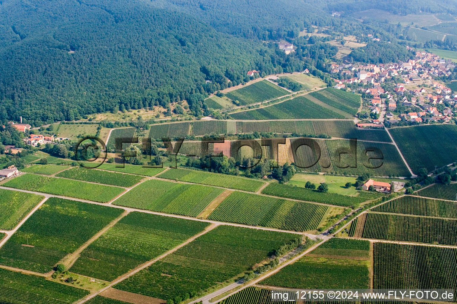 Vue d'oiseau de Gleisweiler dans le département Rhénanie-Palatinat, Allemagne