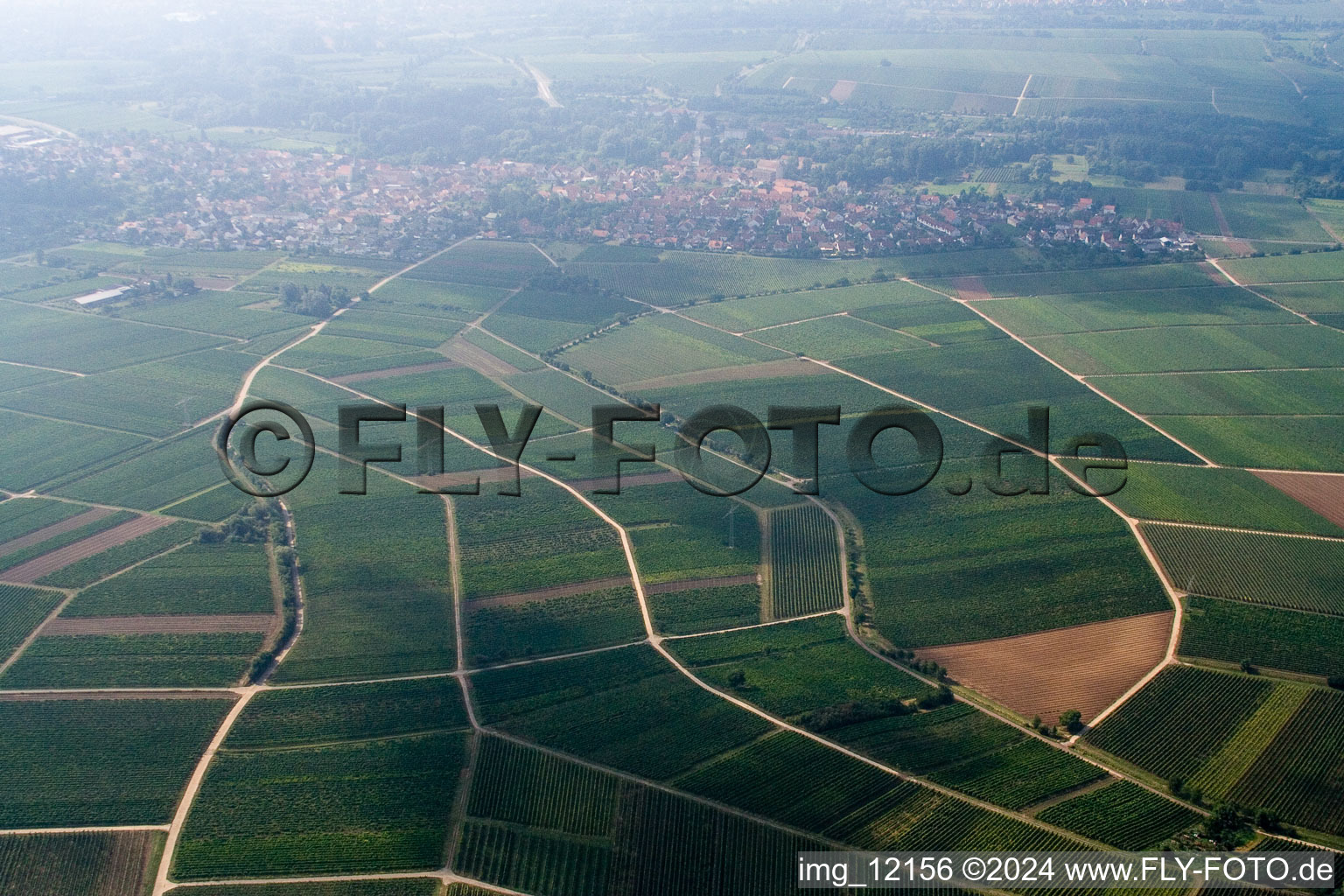 Frankweiler dans le département Rhénanie-Palatinat, Allemagne depuis l'avion