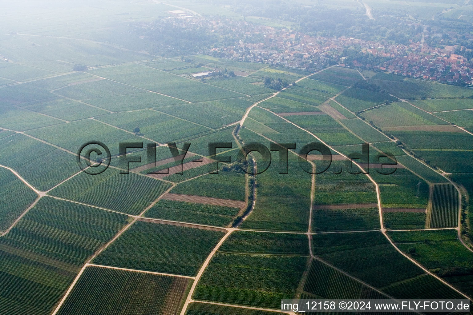 Frankweiler dans le département Rhénanie-Palatinat, Allemagne vue du ciel