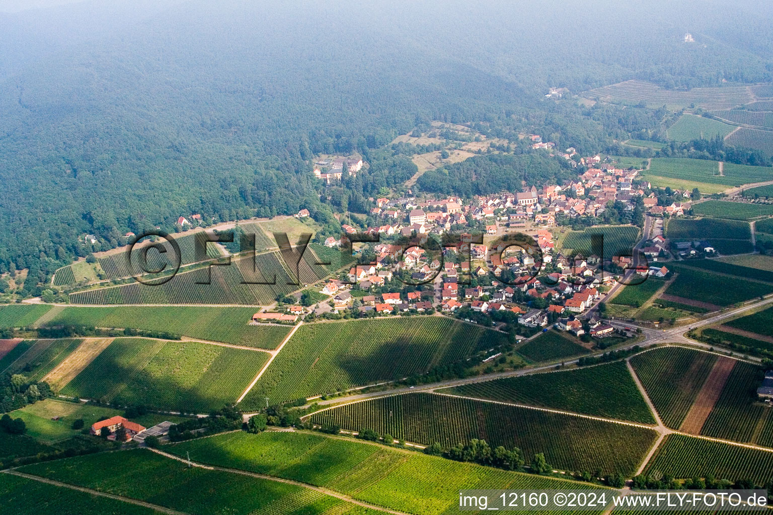 Gleisweiler dans le département Rhénanie-Palatinat, Allemagne vue du ciel