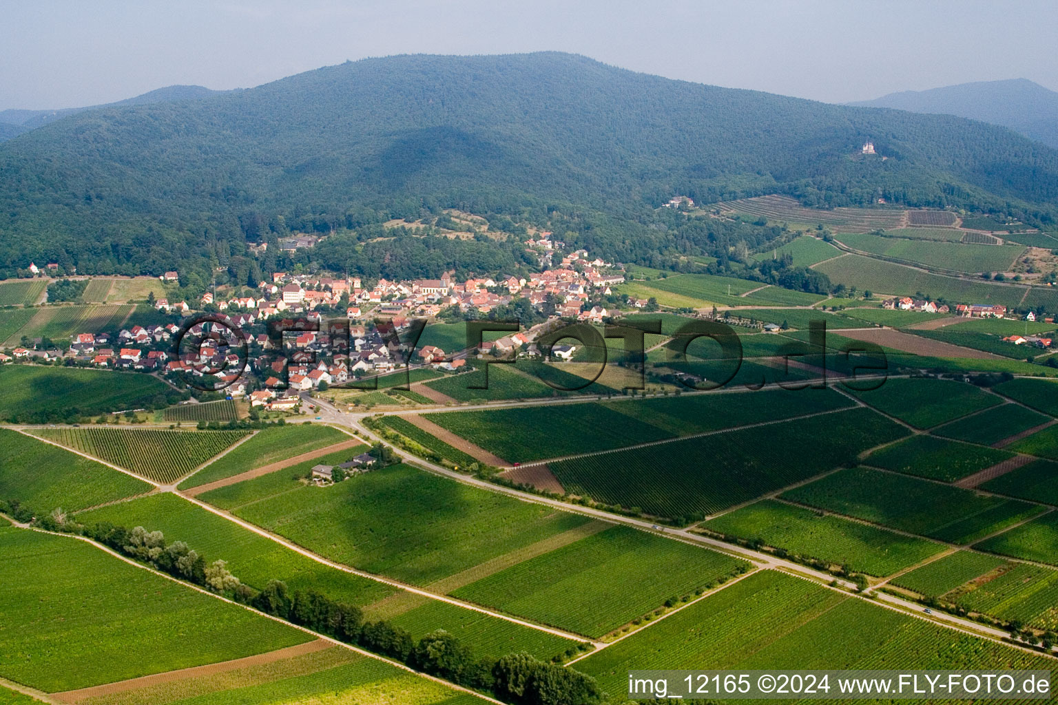 Image drone de Gleisweiler dans le département Rhénanie-Palatinat, Allemagne