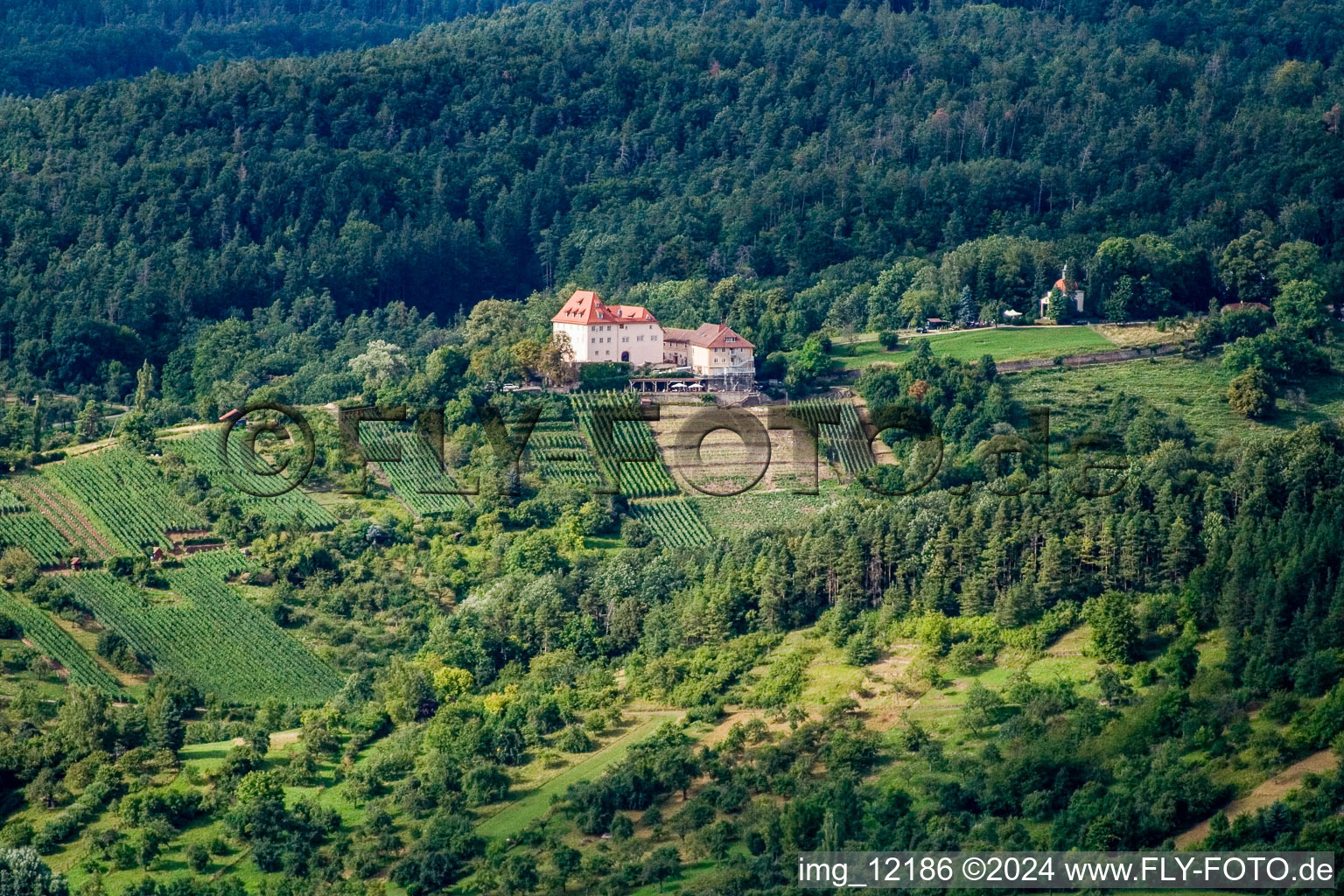 Vue aérienne de Château de Roseck à le quartier Unterjesingen in Tübingen dans le département Bade-Wurtemberg, Allemagne