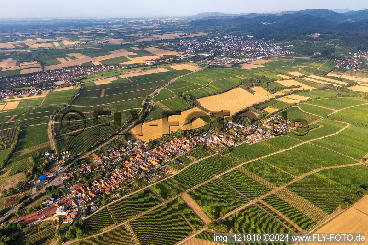 Photographie aérienne de Niederhorbach dans le département Rhénanie-Palatinat, Allemagne