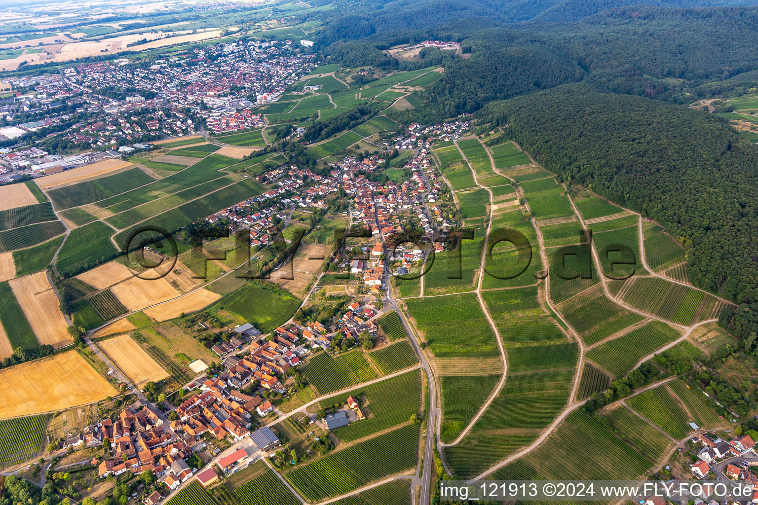 Quartier Pleisweiler in Pleisweiler-Oberhofen dans le département Rhénanie-Palatinat, Allemagne hors des airs