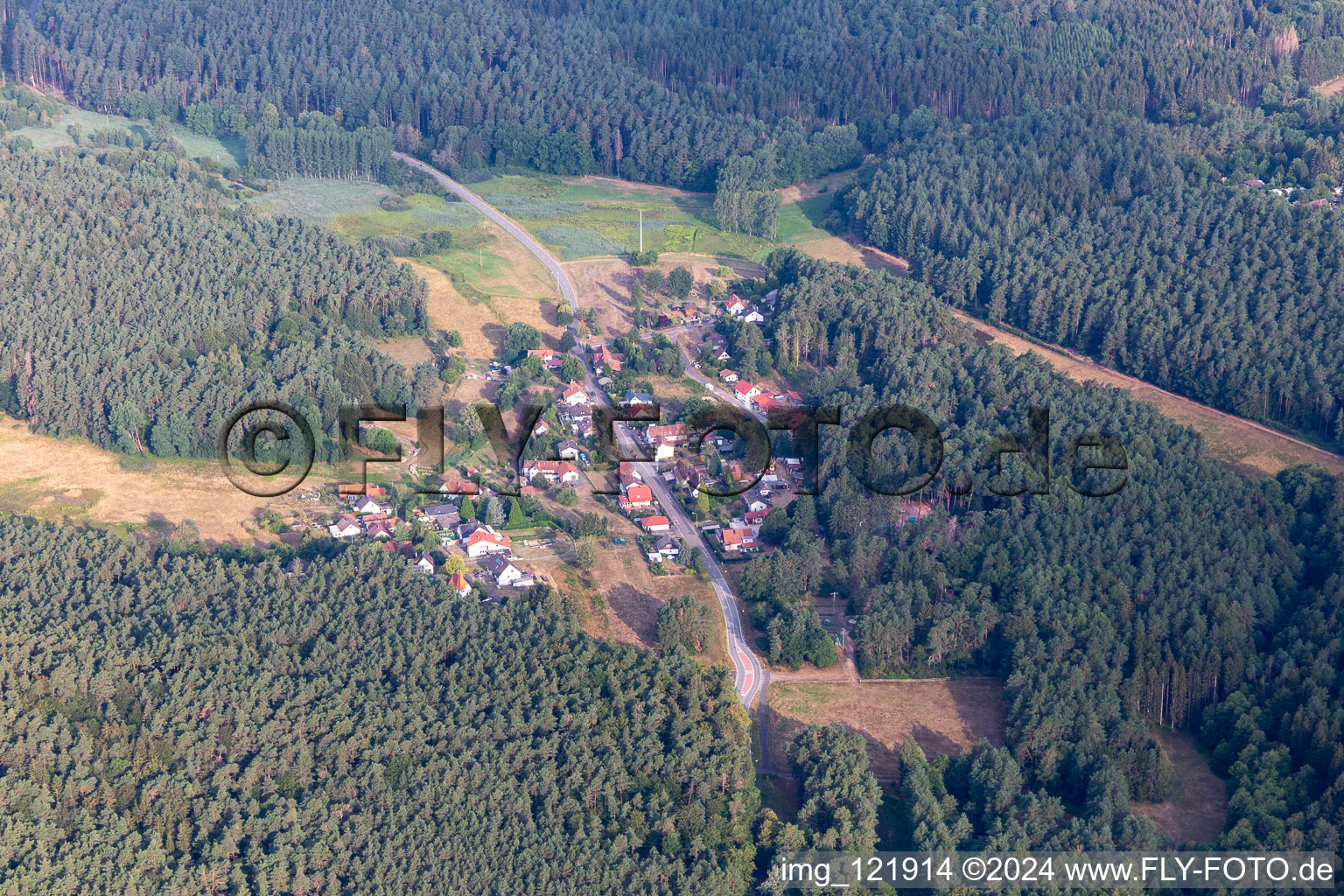 Vue aérienne de Quartier Lauterschwan in Erlenbach bei Dahn dans le département Rhénanie-Palatinat, Allemagne