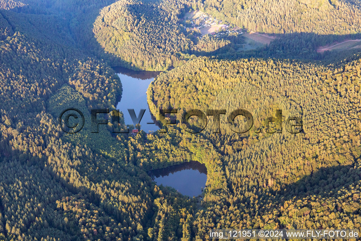 Vue aérienne de Zones forestières au bord du lac Seehofer-Weiher à Erlenbach bei Dahn dans le département Rhénanie-Palatinat, Allemagne