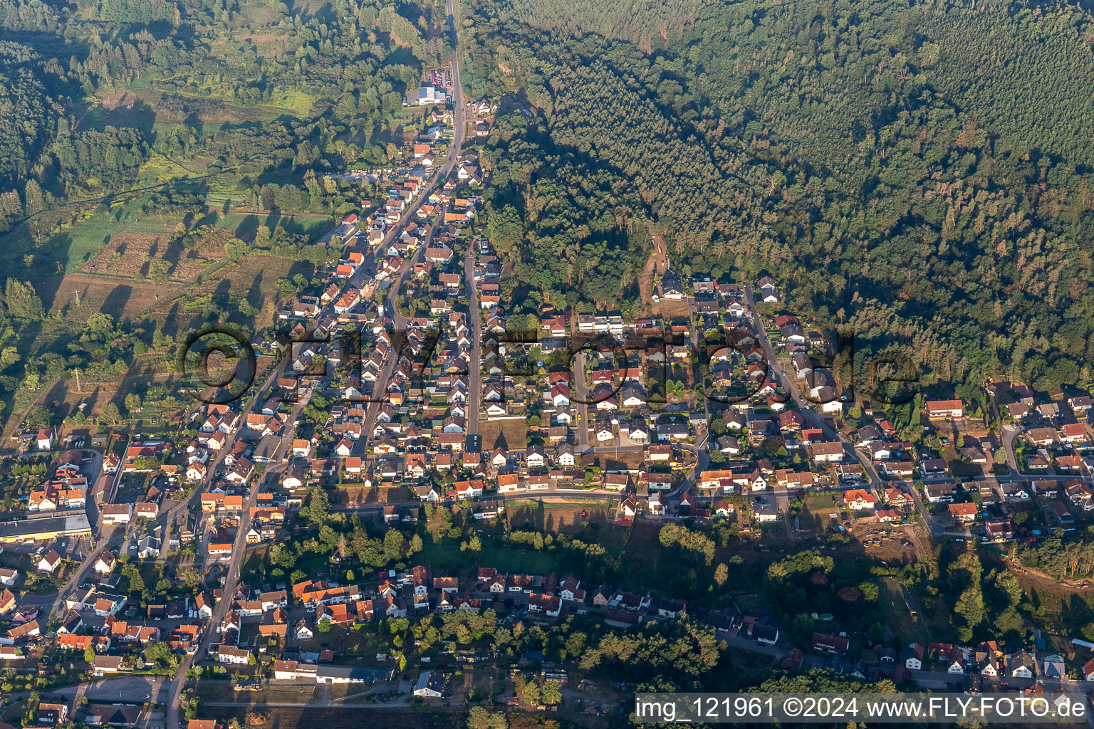 Vue aérienne de Centre-ville entouré de forêts et de zones forestières avec des rues et des maisons et des zones résidentielles à Fischbach bei Dahn dans le département Rhénanie-Palatinat, Allemagne