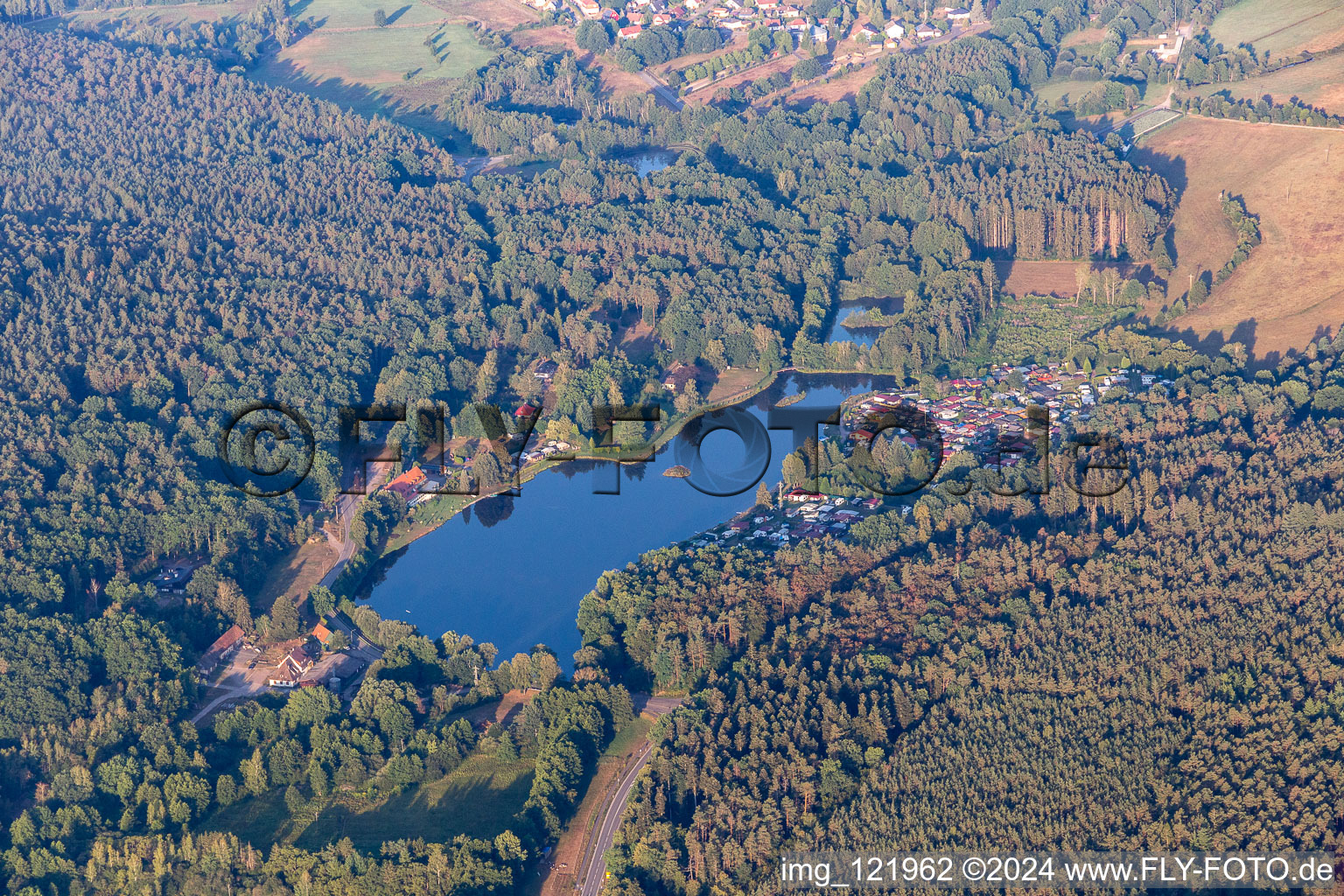 Vue aérienne de Étang du moulin de Saarbach à Ludwigswinkel dans le département Rhénanie-Palatinat, Allemagne