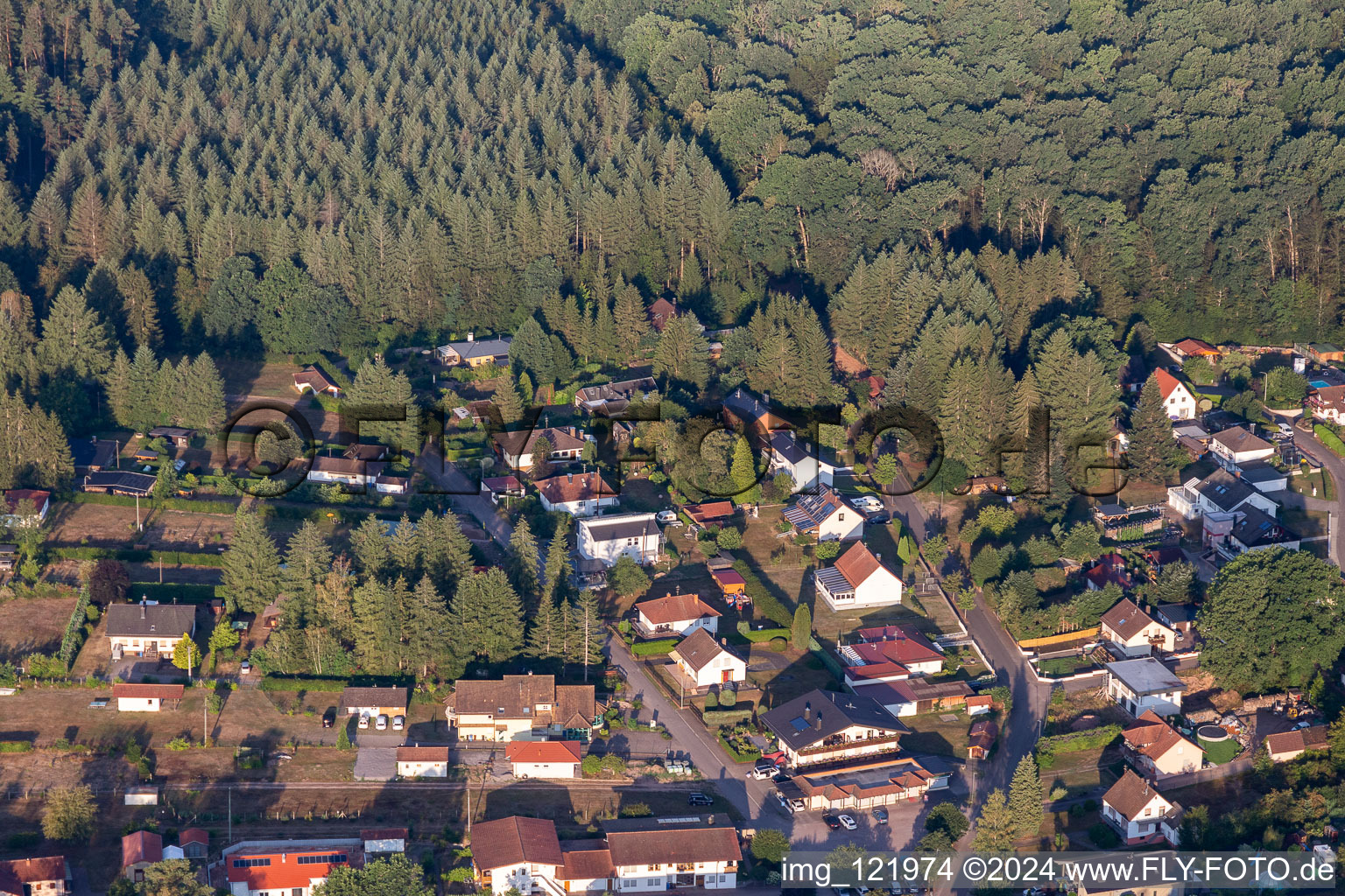 Ludwigswinkel dans le département Rhénanie-Palatinat, Allemagne vue d'en haut