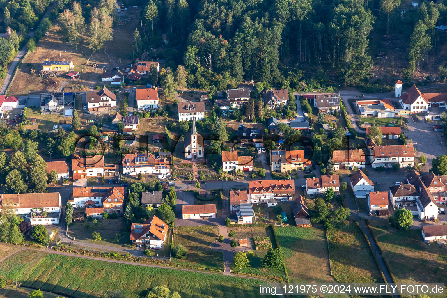 Ludwigswinkel dans le département Rhénanie-Palatinat, Allemagne depuis l'avion