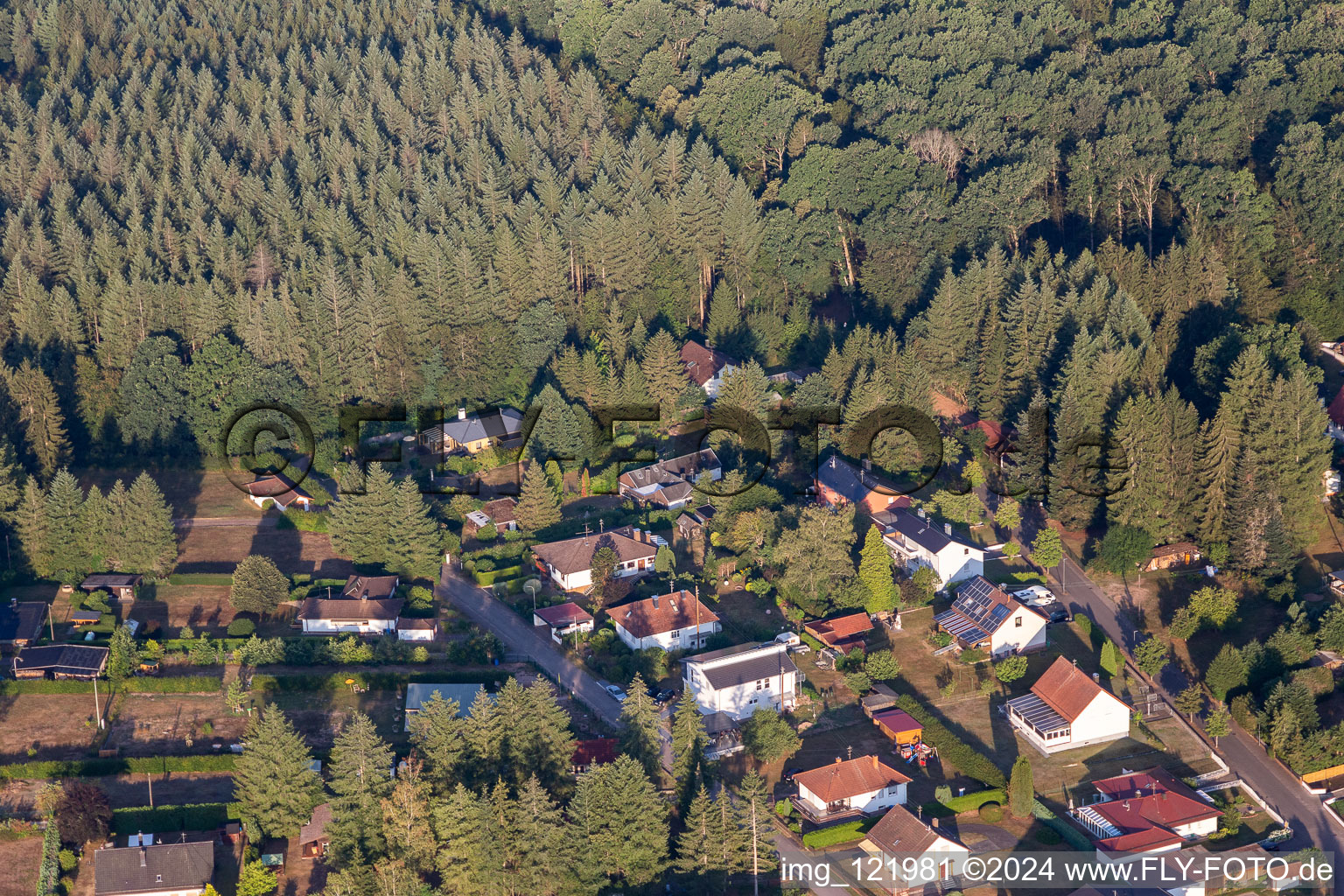 Ludwigswinkel dans le département Rhénanie-Palatinat, Allemagne du point de vue du drone