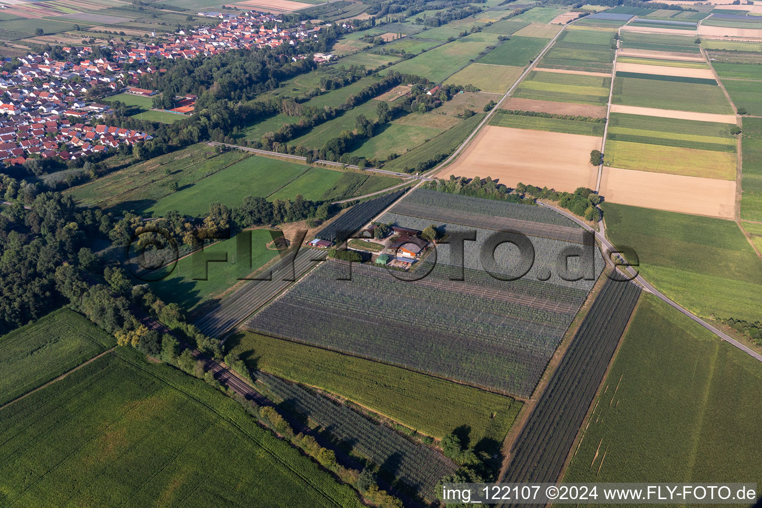 Vue aérienne de Asperges et Obsthof Gensheimer à Steinweiler dans le département Rhénanie-Palatinat, Allemagne