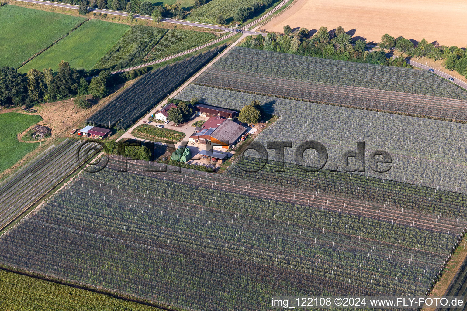 Vue aérienne de Asperges et Obsthof Gensheimer à Steinweiler dans le département Rhénanie-Palatinat, Allemagne