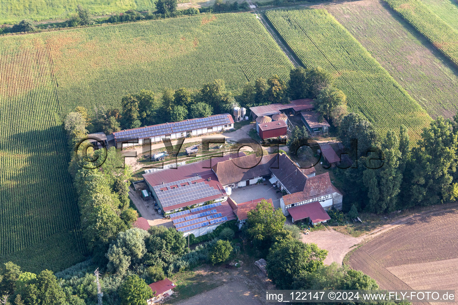 Vue aérienne de Kandel dans le département Rhénanie-Palatinat, Allemagne