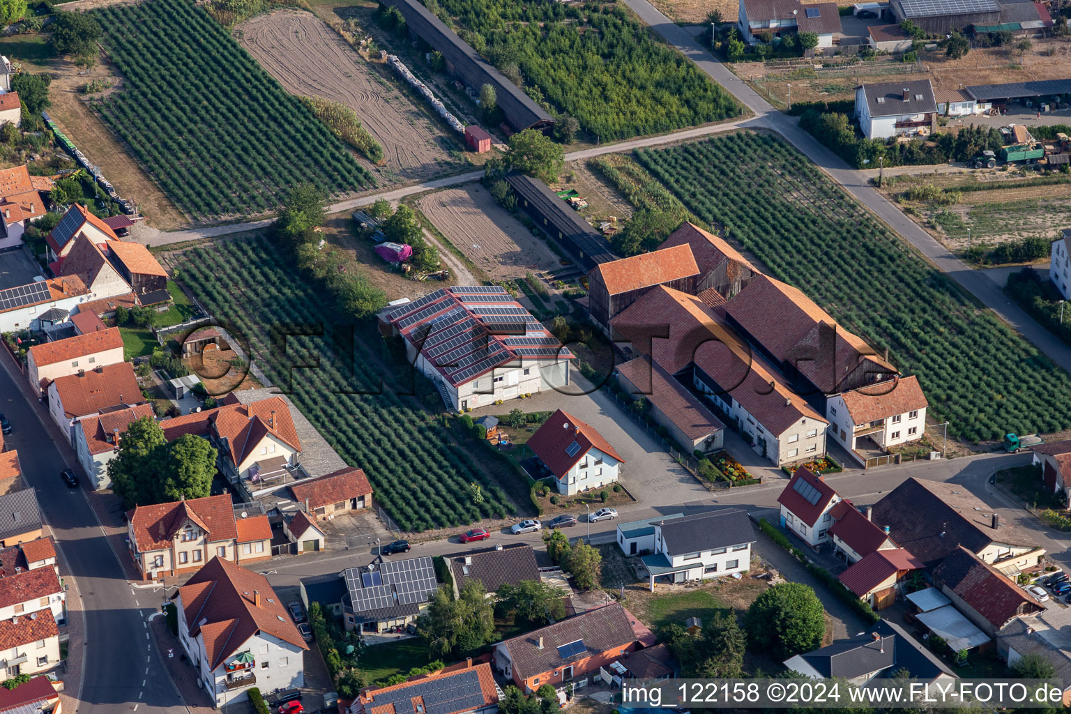 Vue aérienne de Asperges Franz Ohmer à Rheinzabern dans le département Rhénanie-Palatinat, Allemagne