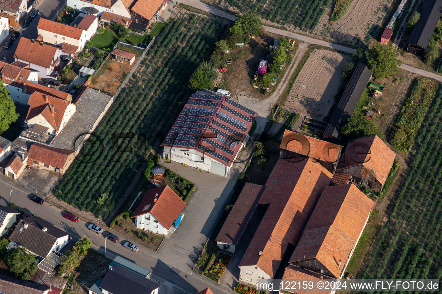 Vue aérienne de Asperges Franz Ohmer à Rheinzabern dans le département Rhénanie-Palatinat, Allemagne