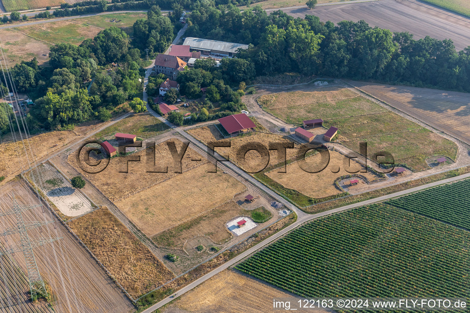 Vue aérienne de Ferme équestre Wanzheimer Mühle à Rheinzabern dans le département Rhénanie-Palatinat, Allemagne