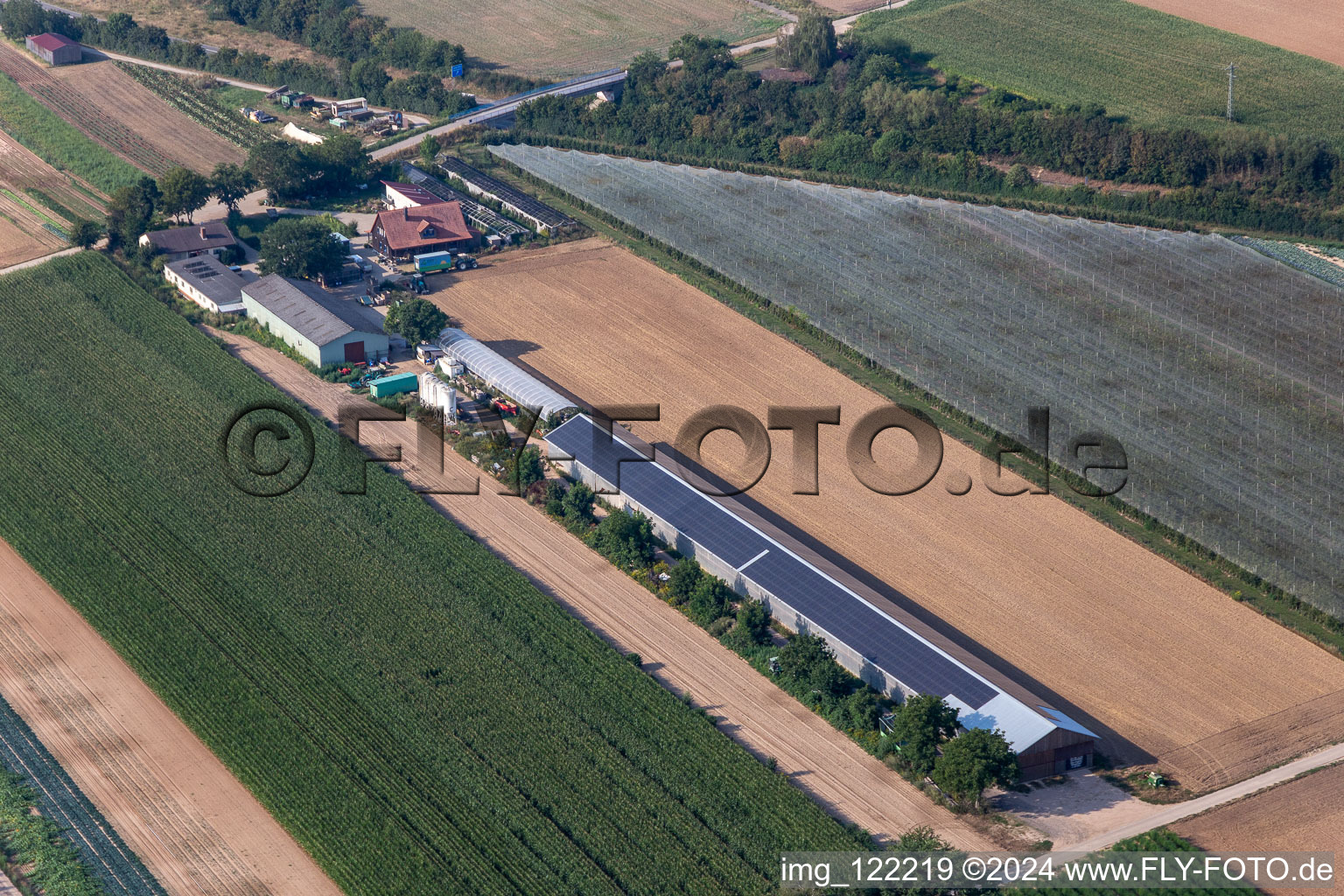 Vue aérienne de Hollerbühler Hof à Kandel dans le département Rhénanie-Palatinat, Allemagne