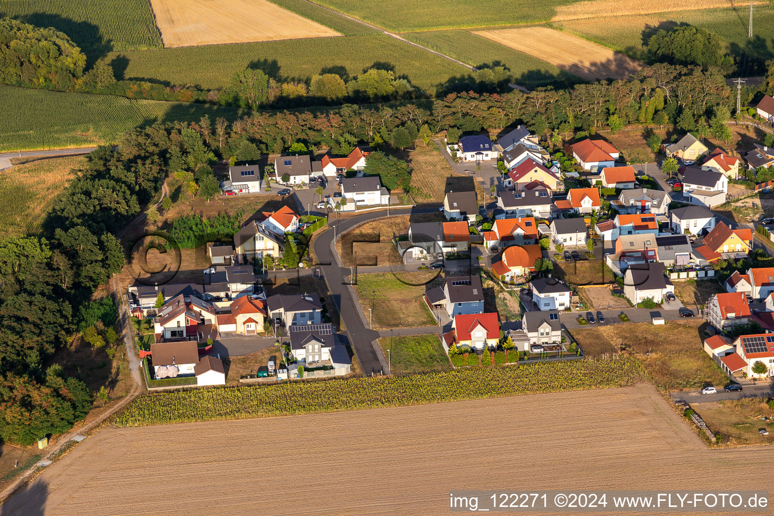 Vue aérienne de Quartier Hardtwald in Neupotz dans le département Rhénanie-Palatinat, Allemagne