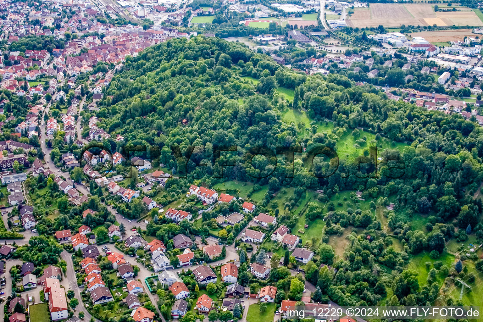 Vue aérienne de Château à Herrenberg dans le département Bade-Wurtemberg, Allemagne