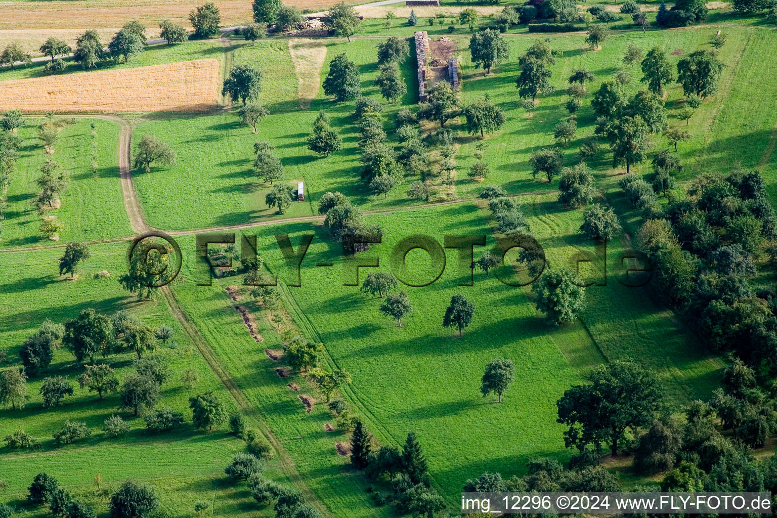 Vue aérienne de Vergers à le quartier Pfäffingen in Ammerbuch dans le département Bade-Wurtemberg, Allemagne