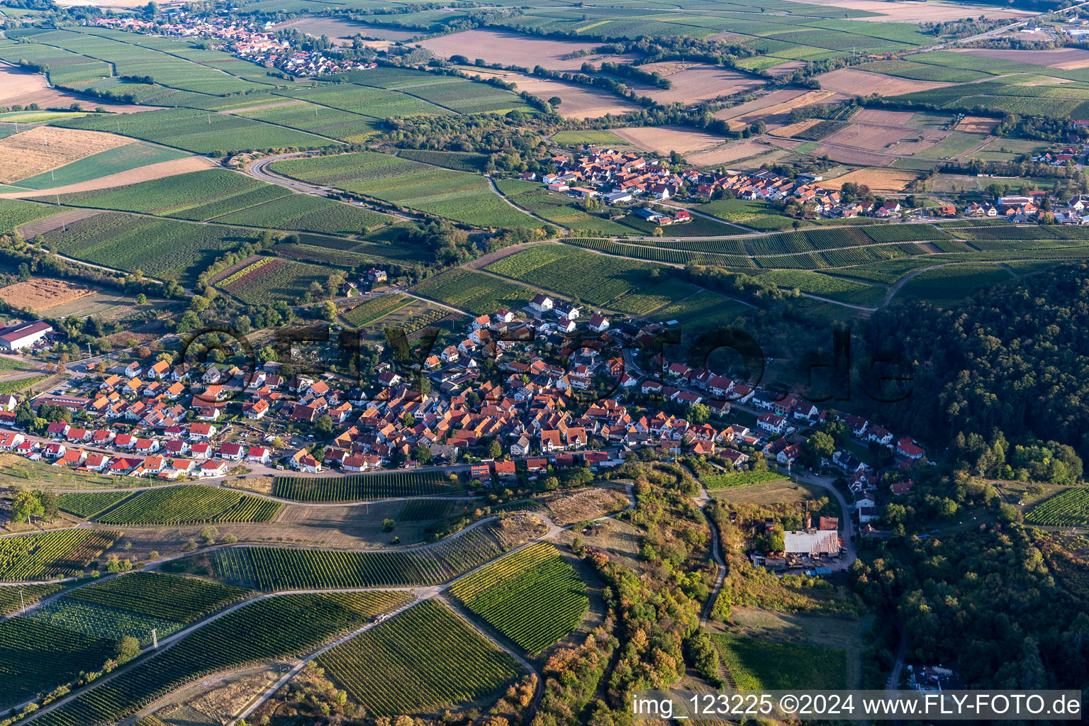 Quartier Gleishorbach in Gleiszellen-Gleishorbach dans le département Rhénanie-Palatinat, Allemagne du point de vue du drone