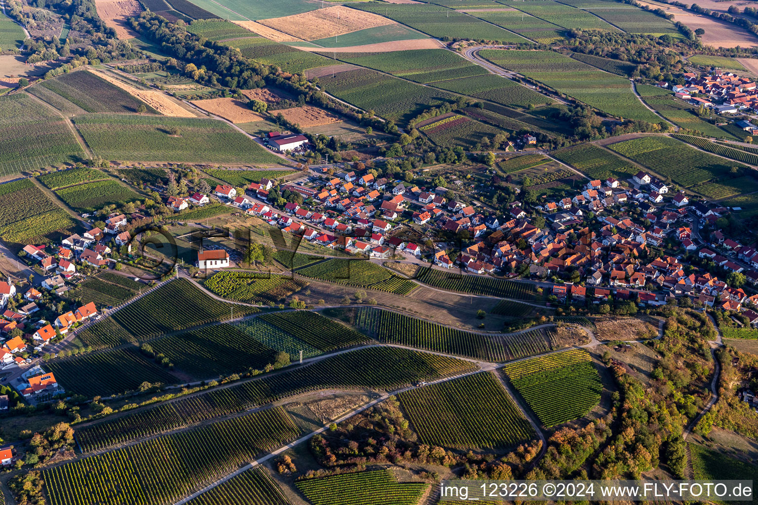 Vue aérienne de Chapelle Saint-Denys à le quartier Gleiszellen in Gleiszellen-Gleishorbach dans le département Rhénanie-Palatinat, Allemagne